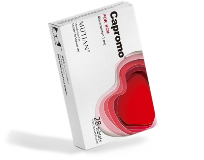 Xraphconn® Tablets