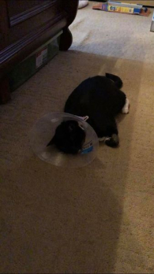 Benny