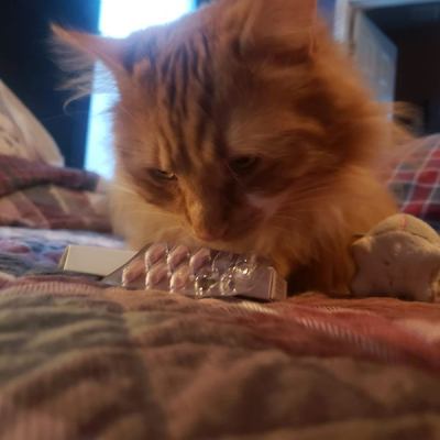 Franklin