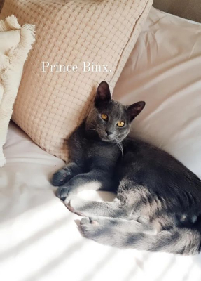 Binx