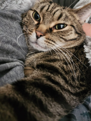 Oswald