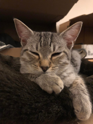 Oliver