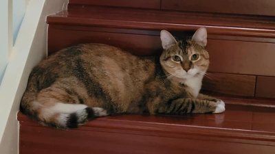Rosie