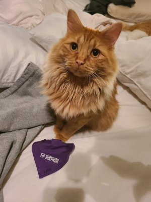 Franklin