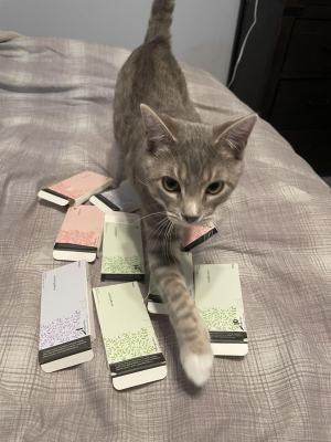 Luca
