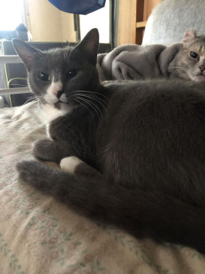 Khittzen