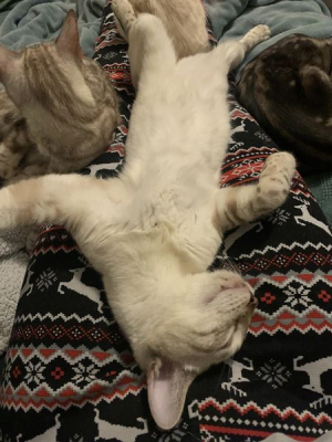 Ragnar