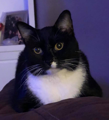 Benny
