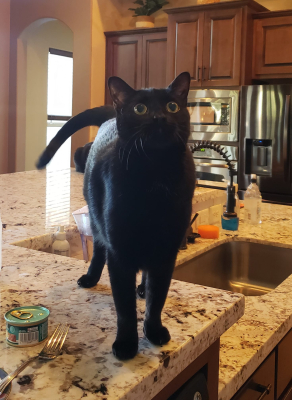 Coco