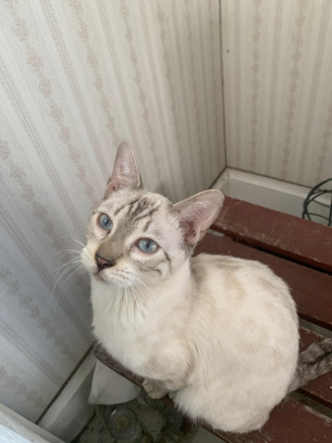 Ragnar