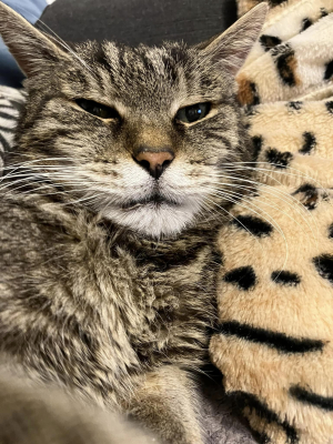 Leo