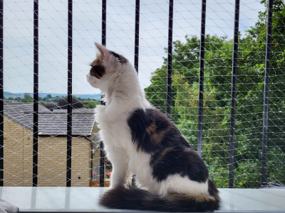 Percy