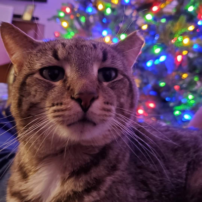 Maximus