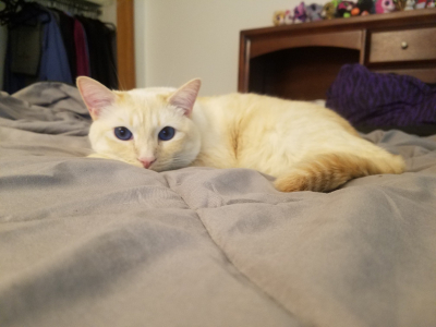 Aloysius