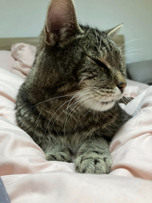 Leo