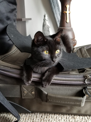 Pan