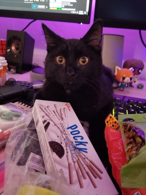 Pan