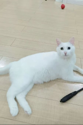 Eric