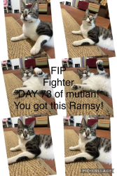 Ramsy