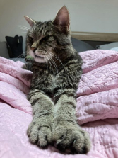 Leo