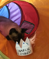 Charlie