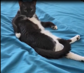 Ben