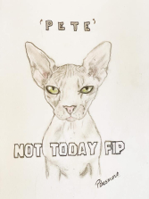 Pete