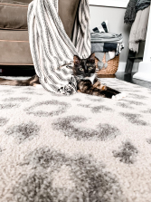 Bambi