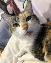 Molly