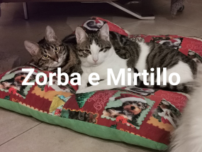 Zorba