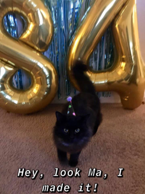 Jinx