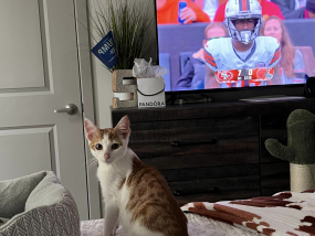 Sammy