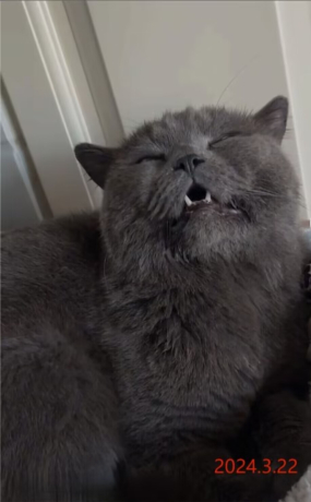 Jerry