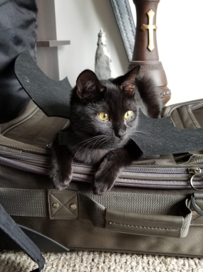 Pan